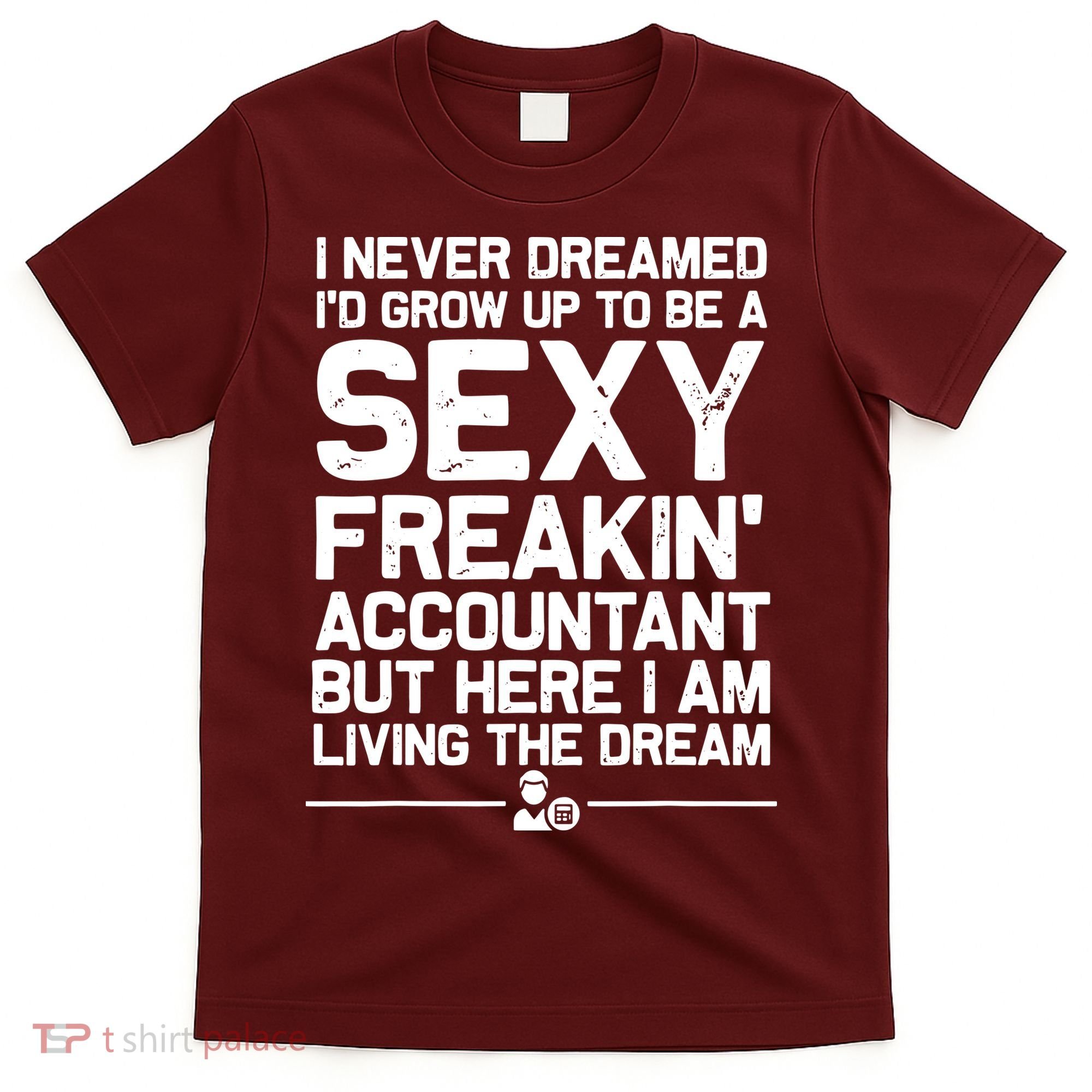 Funny Accountant Art For Men Women CPA Accounting Bookkeeper T-Shirt