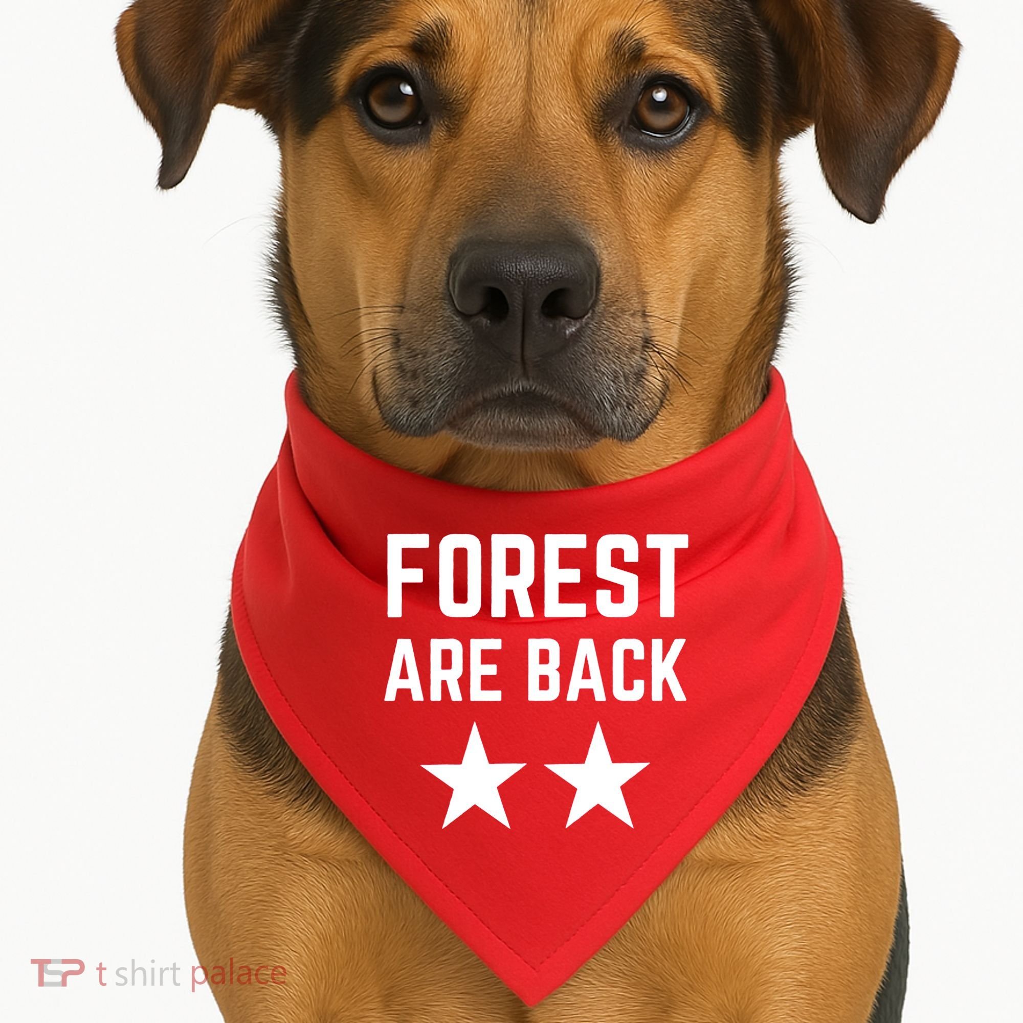 Forest Are Back Nottingham Soccer Sport Trending USA-Made Doggie Bandana
