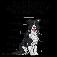 Funny Anatomy Border Collie Dog Lover Gift Coffee Mug thumb 5