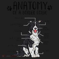 Funny Anatomy Border Collie Dog Lover Gift Beanie thumb 2