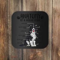 Funny Anatomy Border Collie Dog Lover Gift Coaster thumb 0