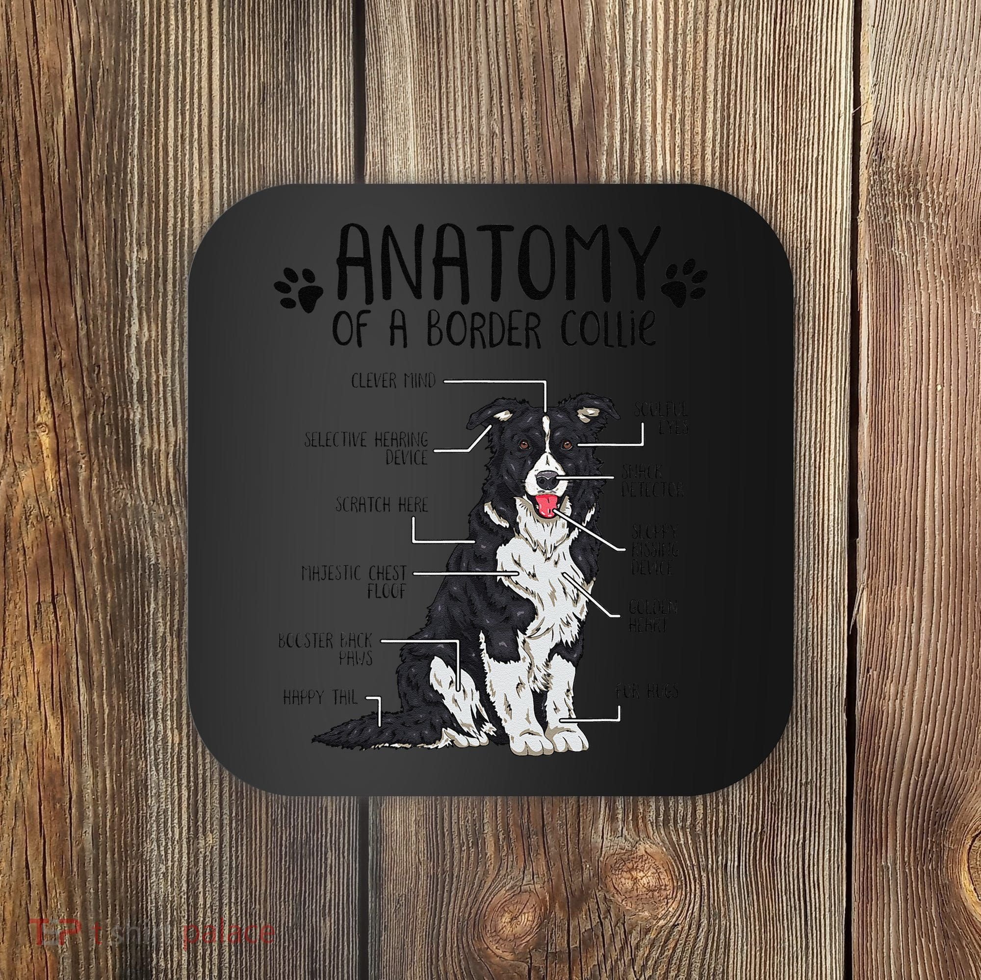 Funny Anatomy Border Collie Dog Lover Gift Coaster