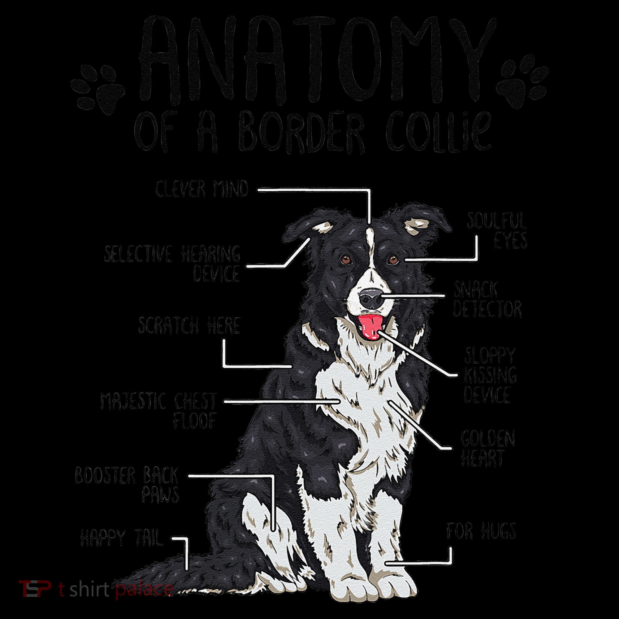 Funny Anatomy Border Collie Dog Lover Gift Women's Hoodie
