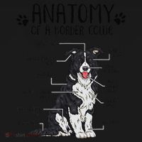 Funny Anatomy Border Collie Dog Lover Gift Baby Bodysuit thumb 2
