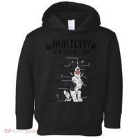 Funny Anatomy Border Collie Dog Lover Gift Toddler Hoodie thumb 0