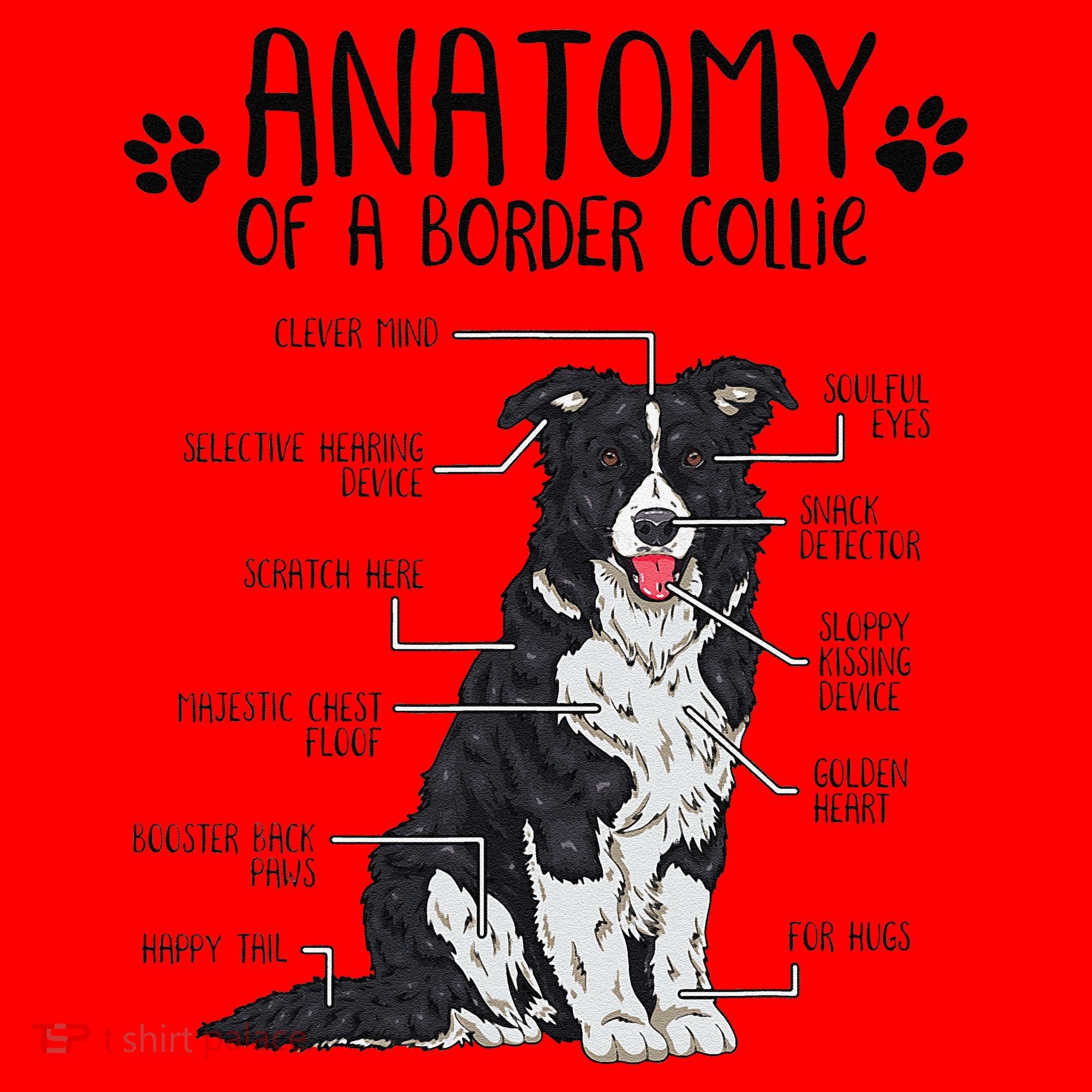 Funny Anatomy Border Collie Dog Lover Gift Santa Hat