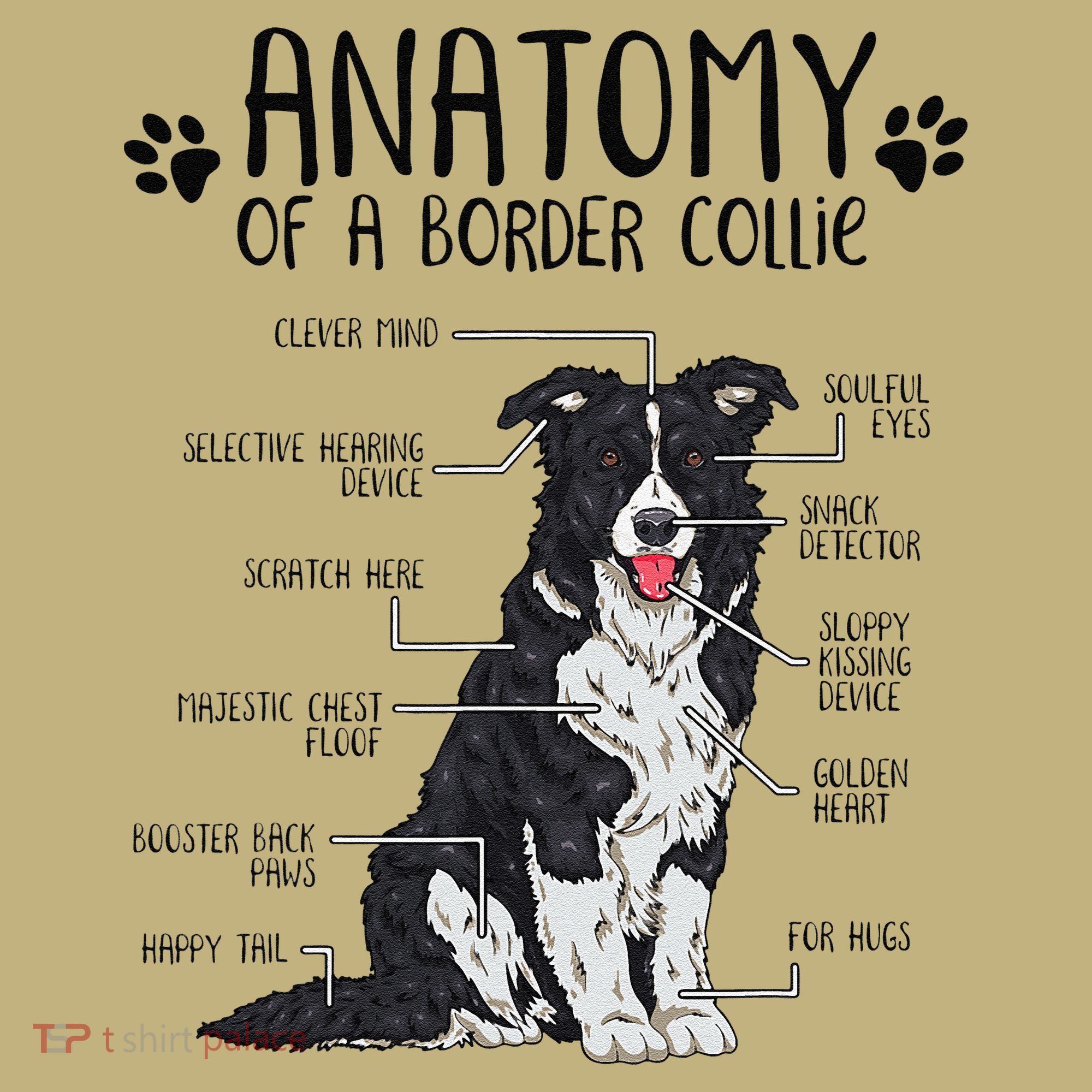 Funny Anatomy Border Collie Dog Lover Gift Button