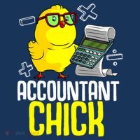 Funny Accountant Chick Gift For Cpa Bookkeeper Auditor Wo Women's Hoodie thumb 2