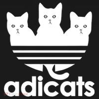 Funny Adicats Cute Cat Lover Pocket Cat Cat Mom Black Cat Backpack thumb 2