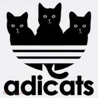 Funny Adicats Cute Cat Lover Pocket Cat Cat Mom Black Cat Women's Hoodie thumb 2