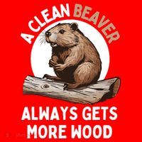 Funny A Clean Beaver Always Gets More Wood Beaver Lover Santa Hat thumb 1