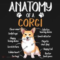 Funny Anatomy Corgi Dog Lover Gift Bucket Hat thumb 4