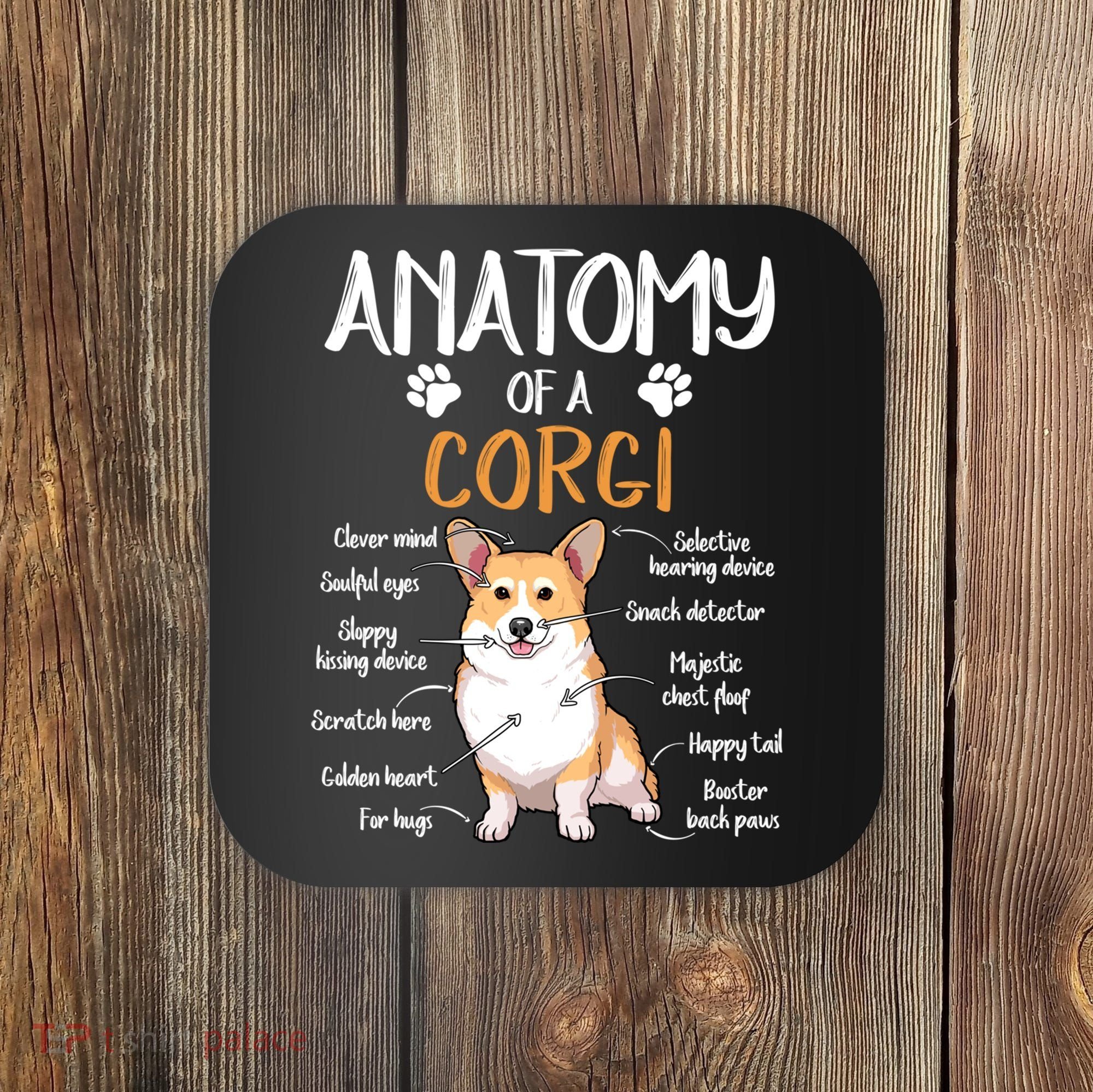 Funny Anatomy Corgi Dog Lover Gift Coaster