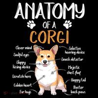 Funny Anatomy Corgi Dog Lover Gift Baby Bodysuit thumb 2