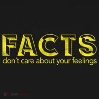 Facts Don't Care About Your Feelings Ornament thumb 1