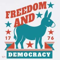 Freedom And Democracy Political Democrat Sweatshirt thumb 3