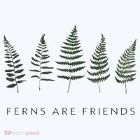 Ferns Are Friends Plant Lover Plant Enthusiasts Friends Hat thumb 2