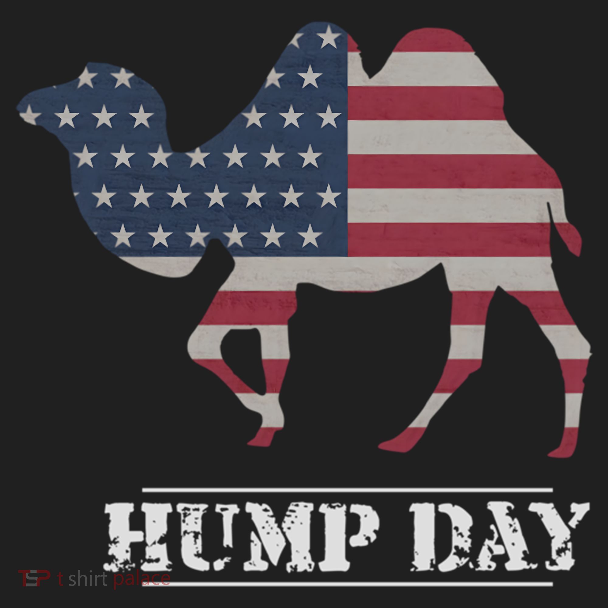 Funny American Flag Hump Day Camel Gift Beanie