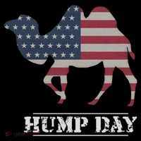 Funny American Flag Hump Day Camel Gift Women's Hoodie thumb 2