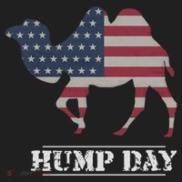 Funny American Flag Hump Day Camel Gift Hat thumb 2