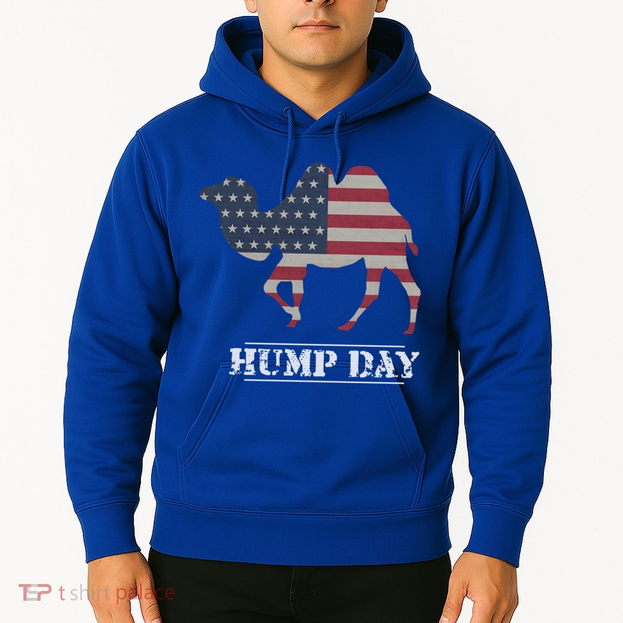 Funny American Flag Hump Day Camel Gift Hoodie