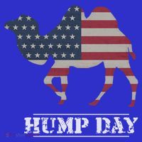 Funny American Flag Hump Day Camel Gift Mousepad thumb 1