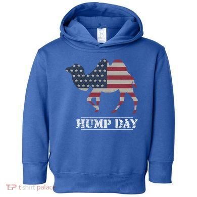 Funny American Flag Hump Day Camel Gift Toddler Hoodie