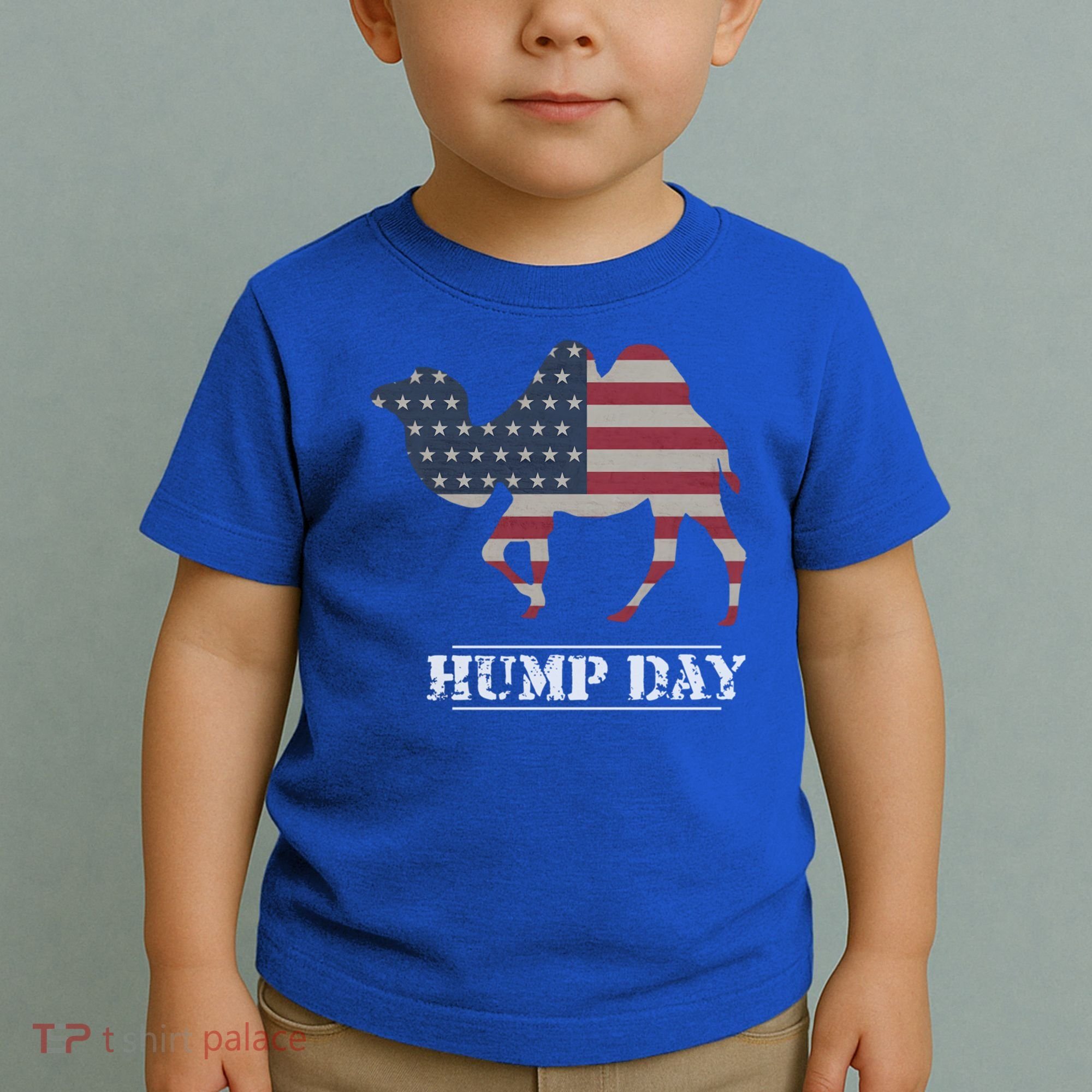 Funny American Flag Hump Day Camel Gift Toddler T-Shirt
