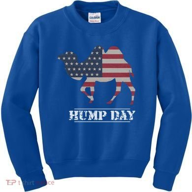 Funny American Flag Hump Day Camel Gift Kids Sweatshirt
