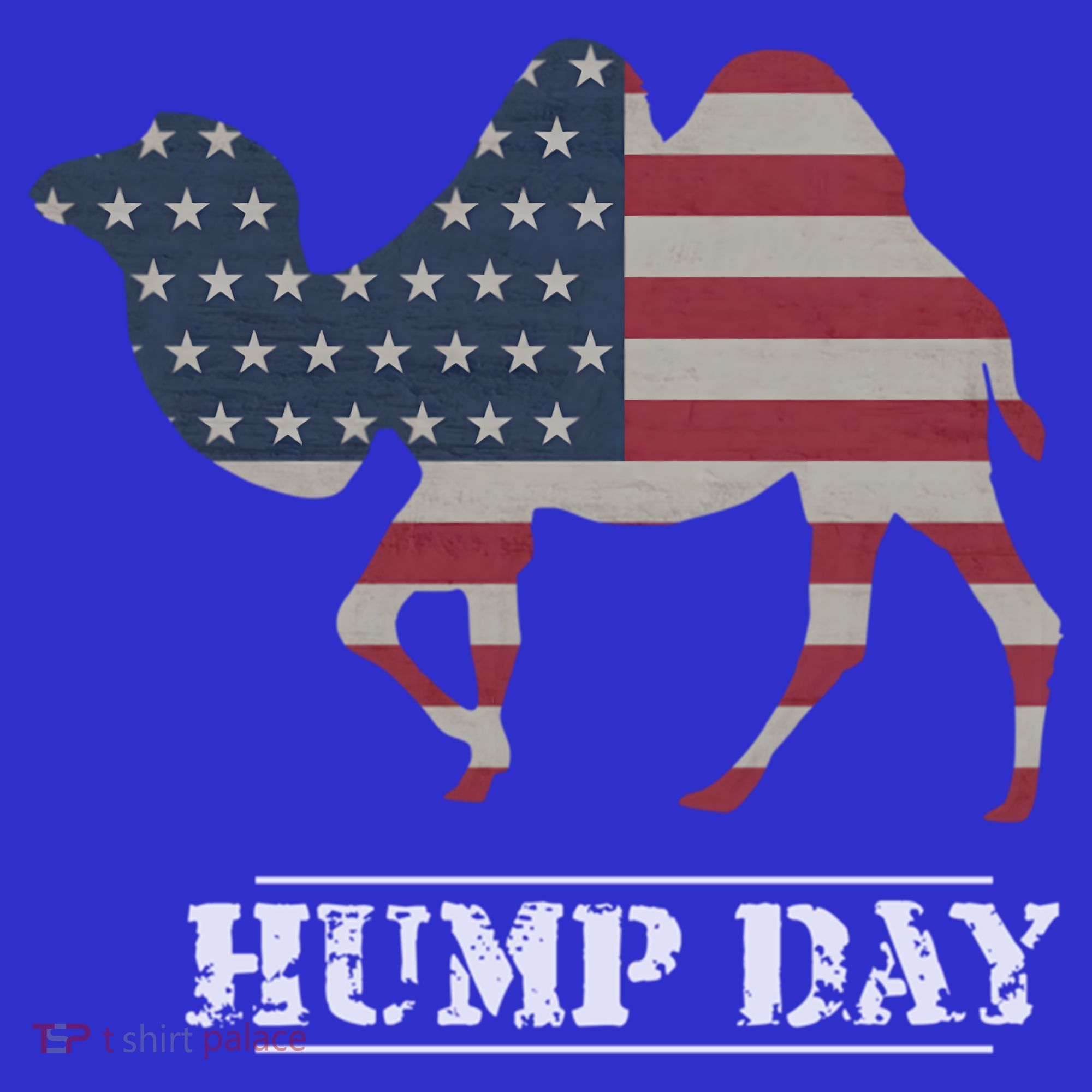 Funny American Flag Hump Day Camel Gift Kids Sweatshirt