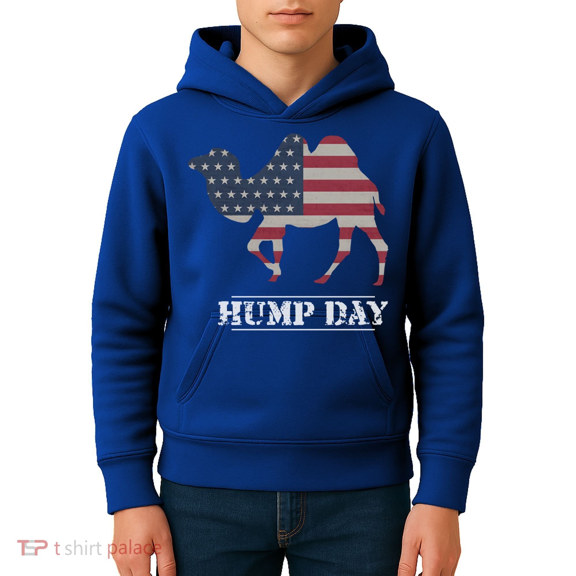 Funny American Flag Hump Day Camel Gift Kids Hoodie