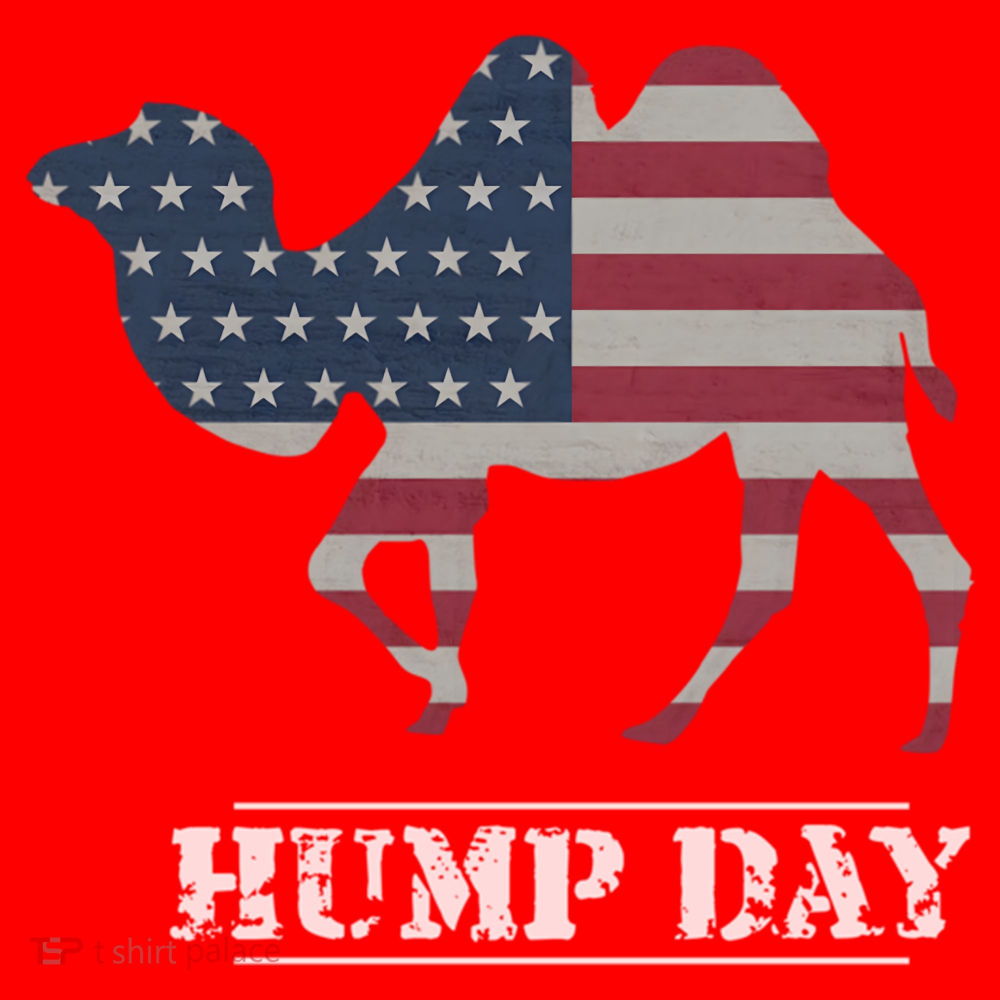Funny American Flag Hump Day Camel Gift Santa Hat
