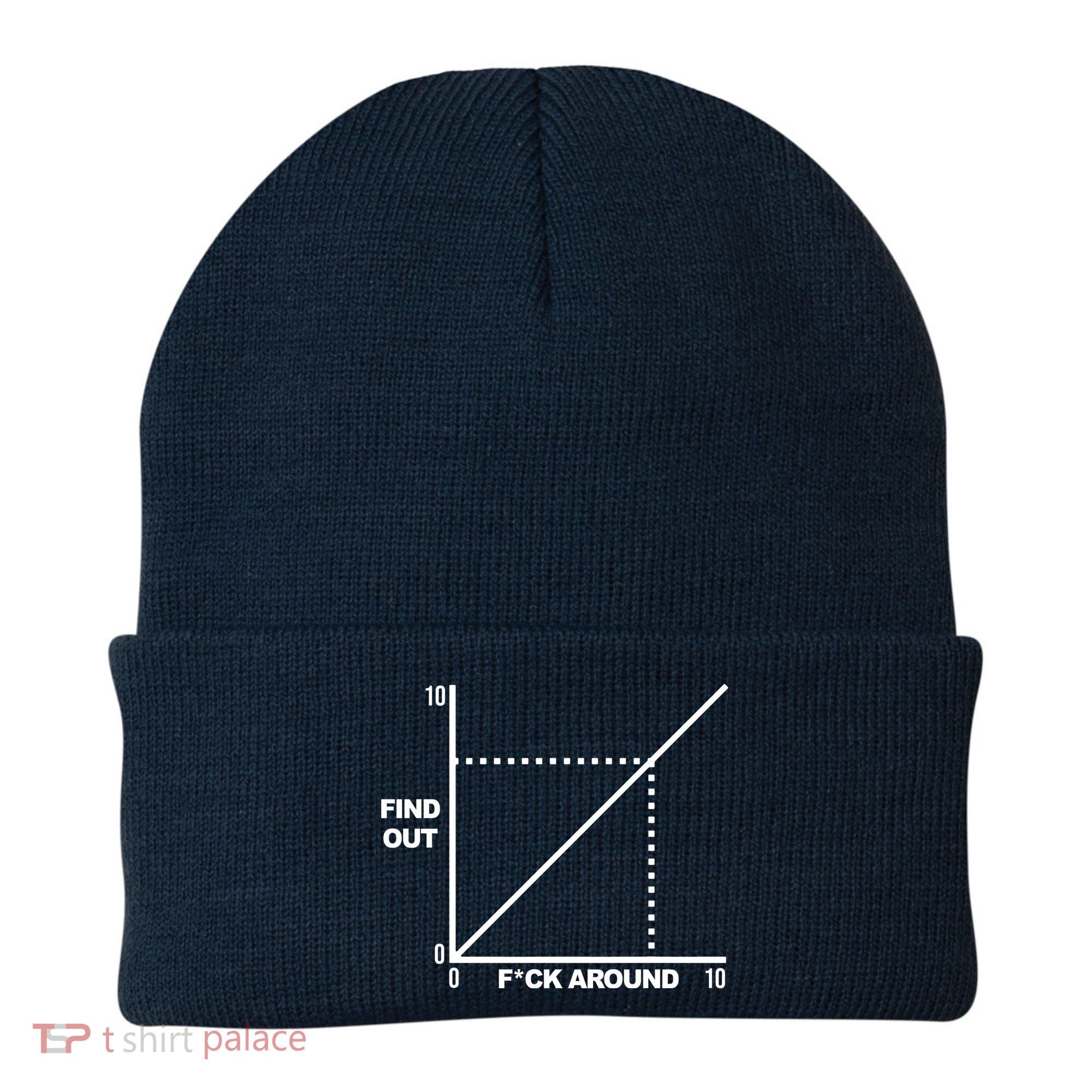 F Around Find Out Beanie