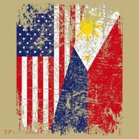 Filipino American Flag Usa Philippines Flag T-Shirt thumb 7
