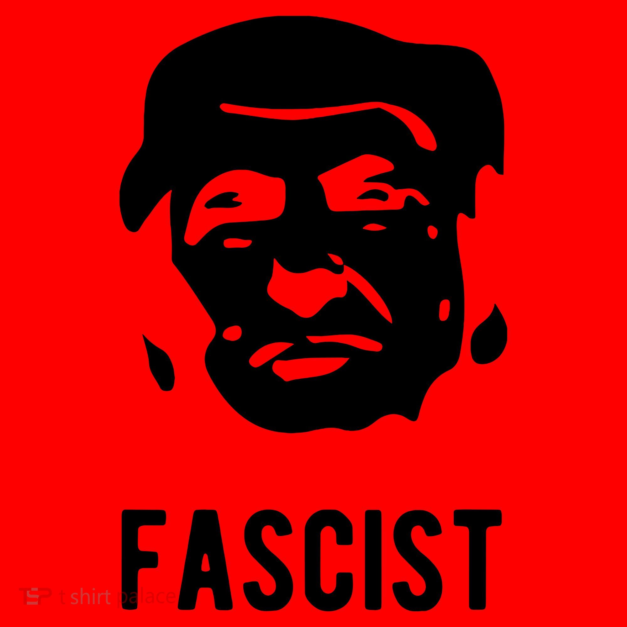 Fascist Antitrump Santa Hat