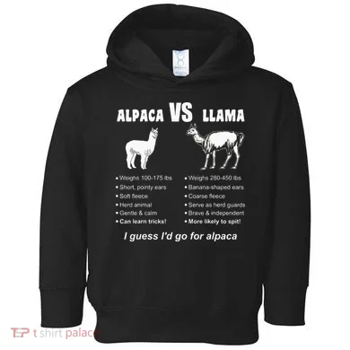 Toddler Hoodie