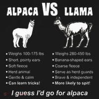 Funny Animal Facts Differences Llama Vs Alpaca Squad Lovers Kids Long Sleeve Shirt thumb 2