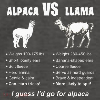 Funny Animal Facts Differences Llama Vs Alpaca Squad Lovers Vector Backpack