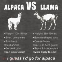 Funny Animal Facts Differences Llama Vs Alpaca Squad Lovers Vector Backpack thumb 2