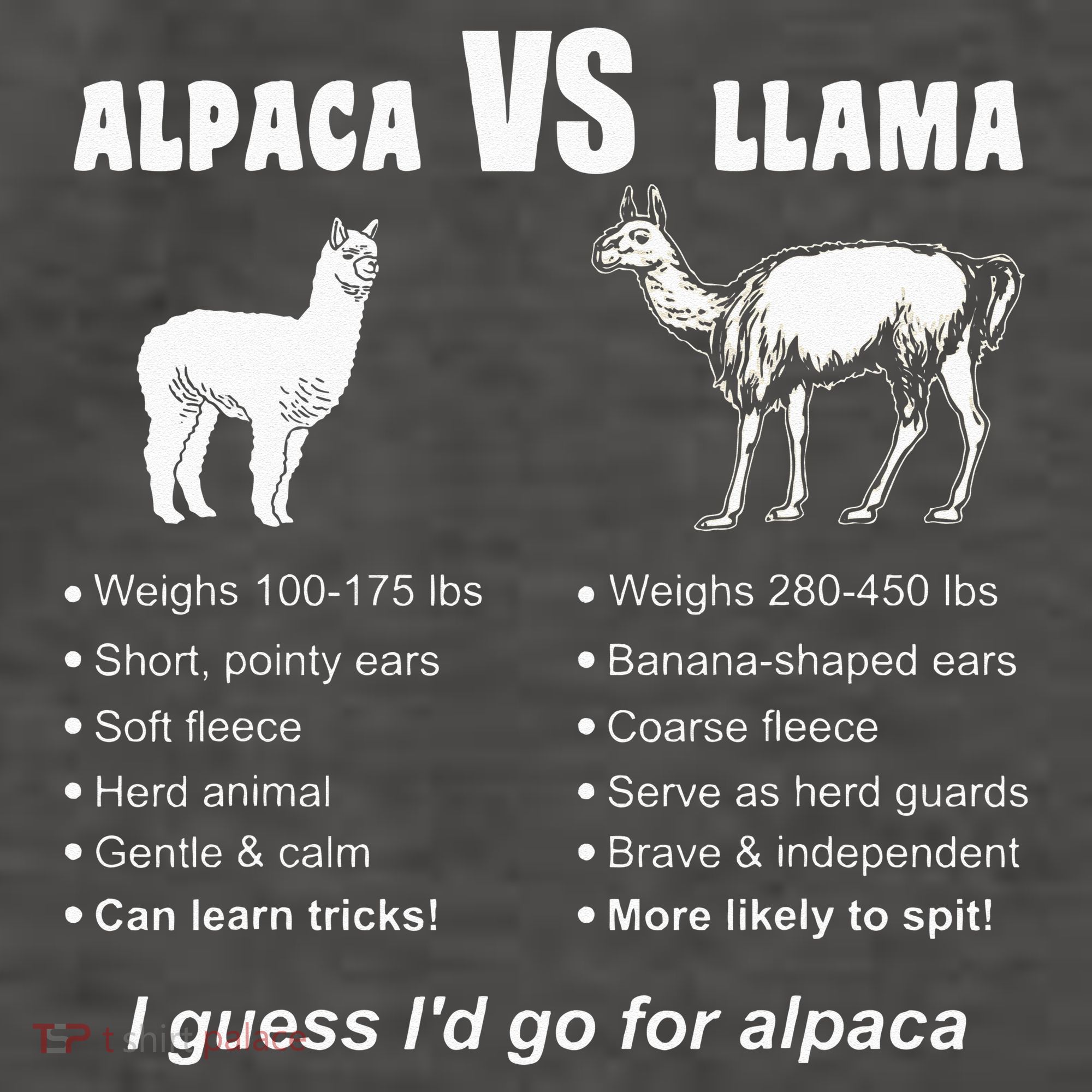 Funny Animal Facts Differences Llama Vs Alpaca Squad Lovers Vector Backpack