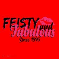 Feisty And Fabulous Since 1975 50th Birthday Santa Hat thumb 1