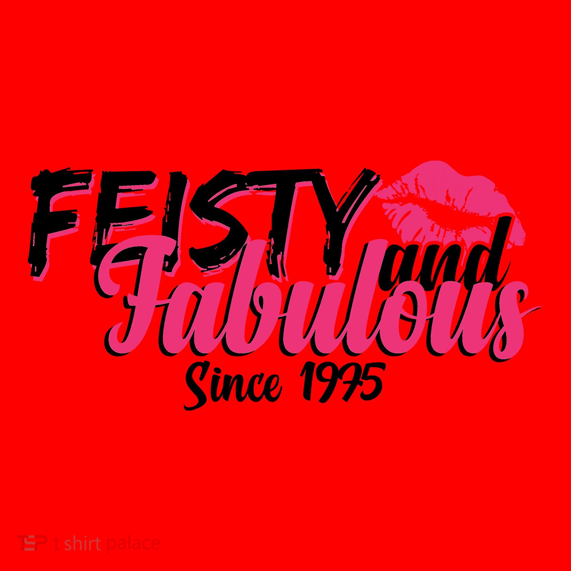 Feisty And Fabulous Since 1975 50th Birthday Santa Hat