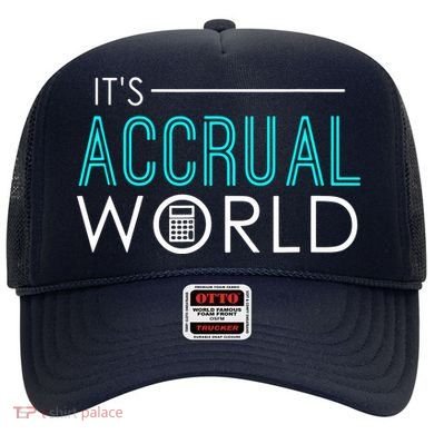 Funny Accounting Hat