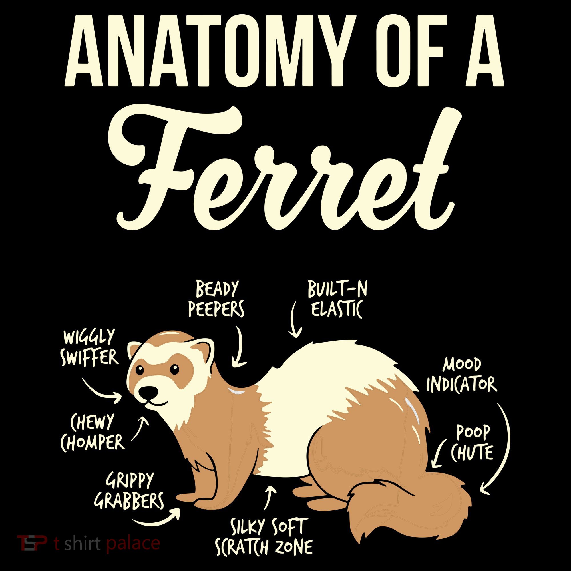 Ferret Anatomy Ornament
