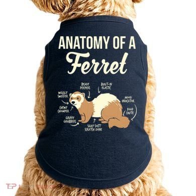Ferret Anatomy Doggie Tank