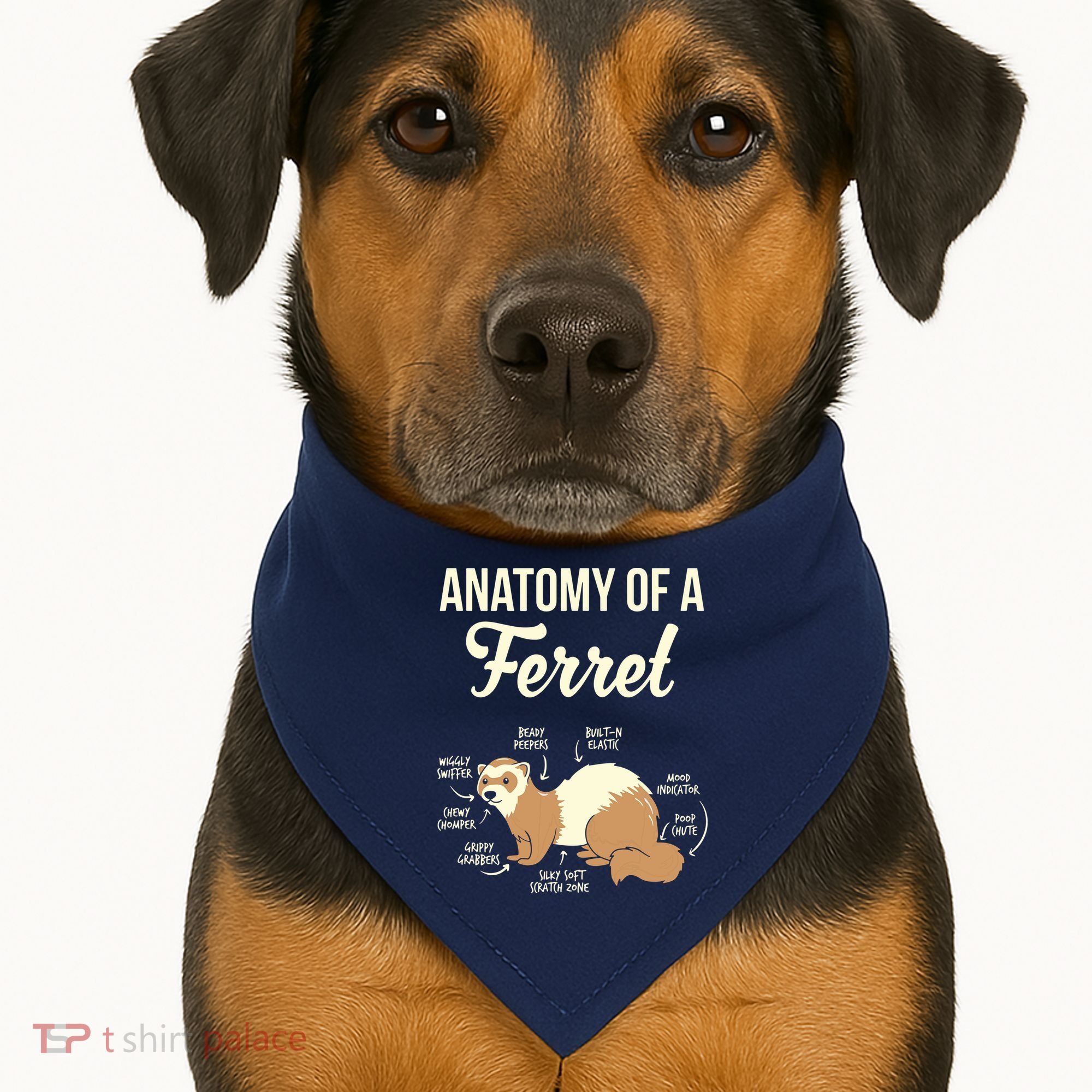 Ferret Anatomy USA-Made Doggie Bandana