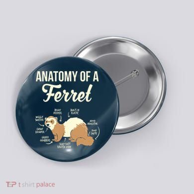Ferret Anatomy Button