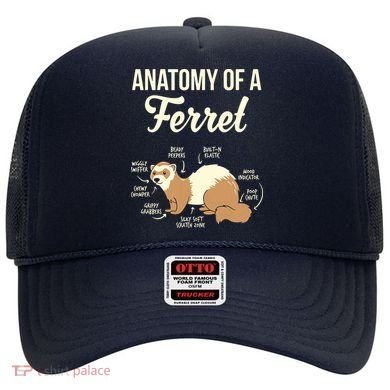 Ferret Anatomy Hat