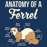 Ferret Anatomy Golf Towel thumb 3