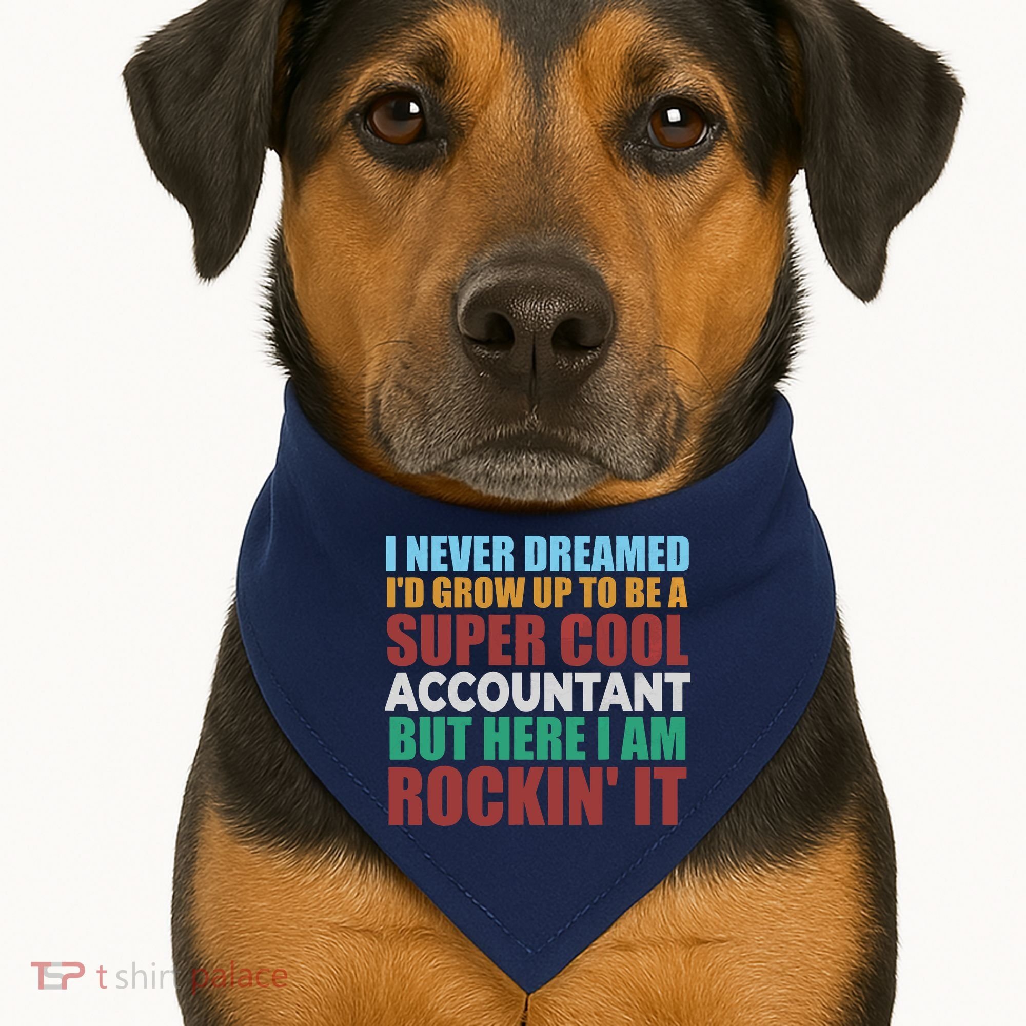 Funny Accountant Gift Accounting Major Bookkeeper CPA Retro USA-Made Doggie Bandana